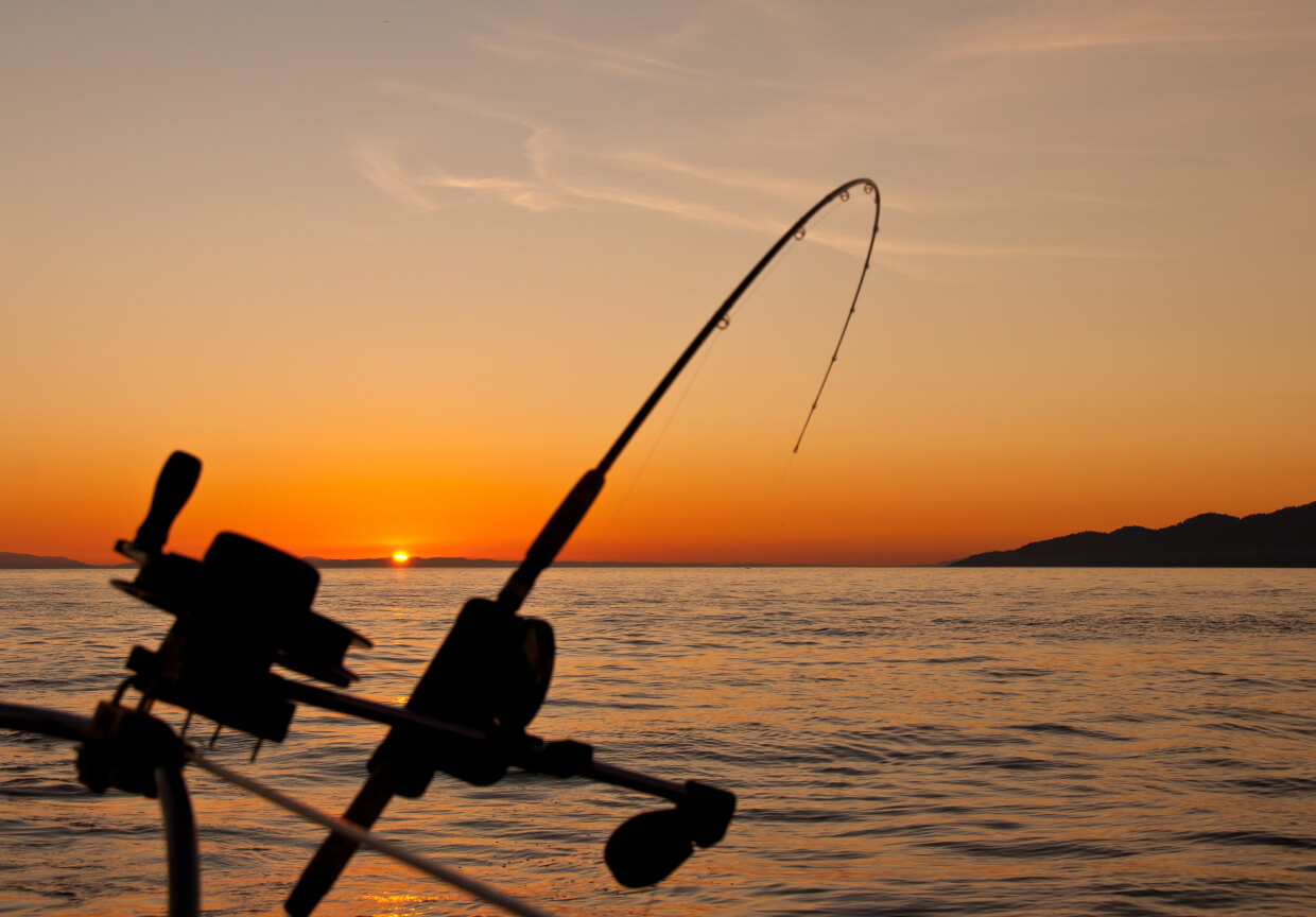 Fishing rod with sunset in background